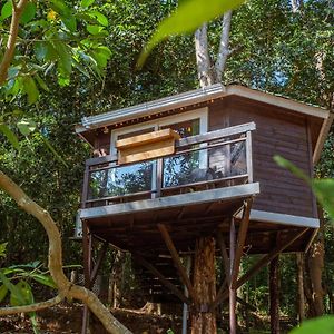 Lake View Tree House